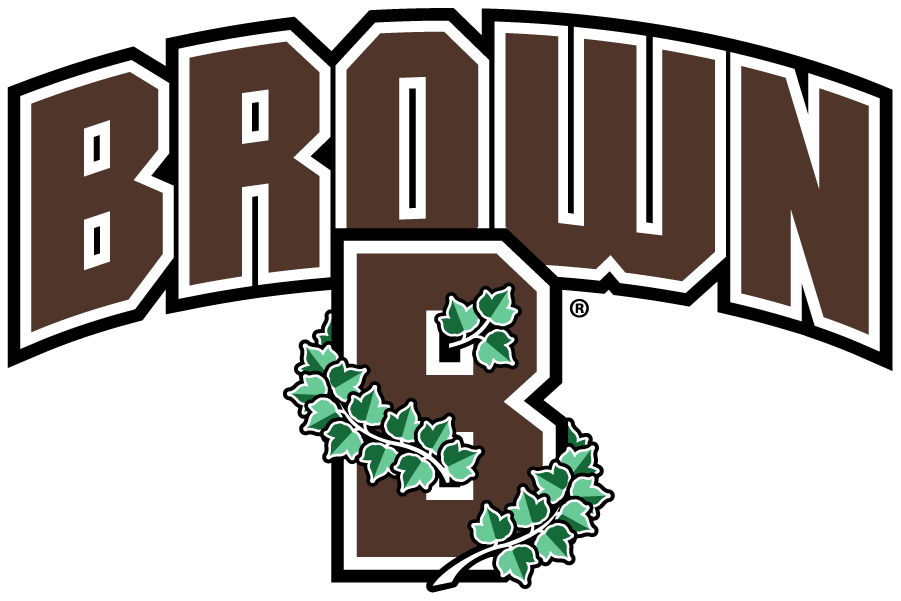 Brown Bears 2018-Pres Secondary Logo t shirts iron on transfers